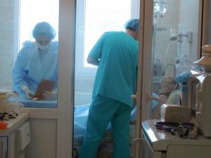 Tranplantation in action.