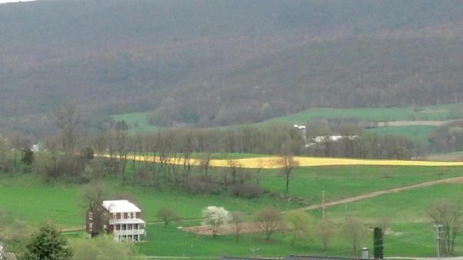 Home...from my back patio.